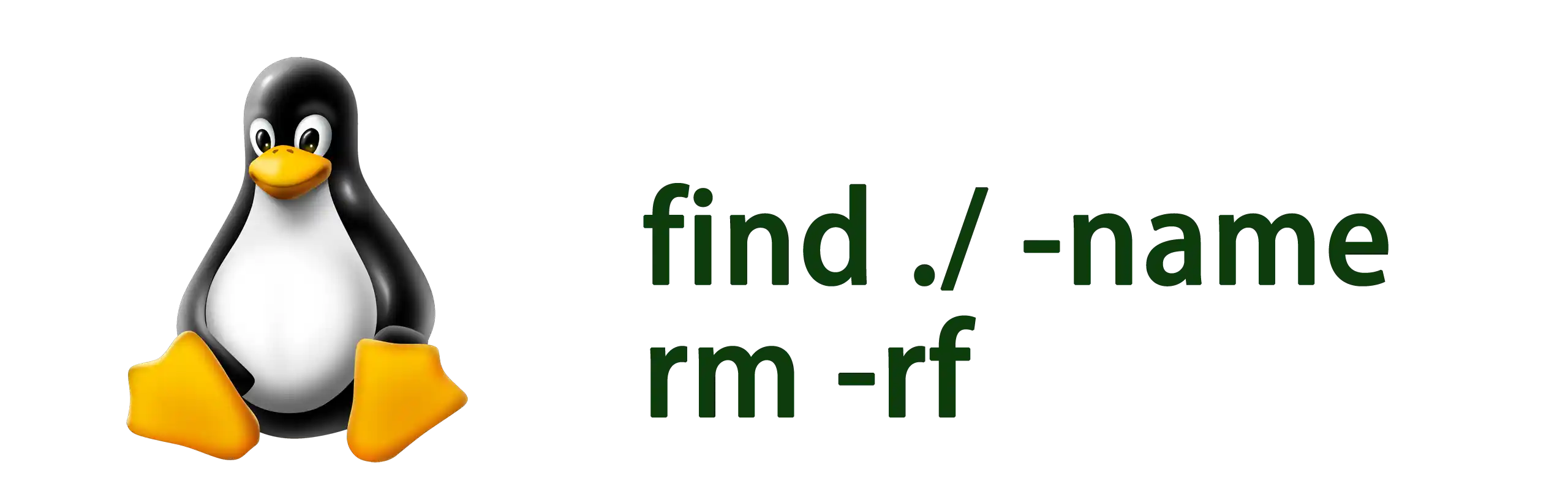 find&rm